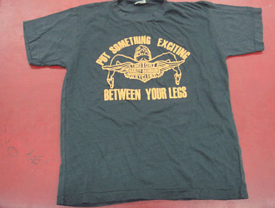 Case Study: Harley Davidson Champion Shirt