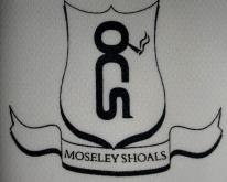 Ocean Colour Scene 'Moseley Shoals' 1996 Jersey 