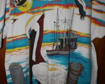  New Smyrna Beach Pelican 