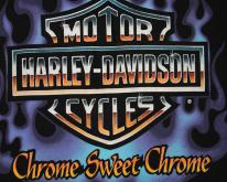  Early 90's Harley Davidson Fringed 