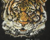 Early 90's Tiger Graphic XXXL Idaho