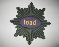 1991 TOAD THE WET SPROCKET  