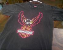  Early 90s Harley Davidson Holoubek AZ 