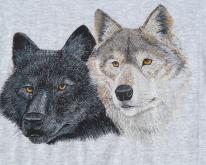 1980s/90s Wolves  