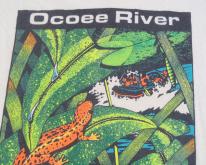 1993 Ocoee River Georgia Ecru 
