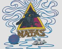 SMA Santa Cruz Monica Airlines NATAS KAUPAS Skateboard 