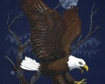  1980s BALD EAGLE Blue 