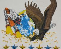  NASA Space Shuttle Bald Eagle 