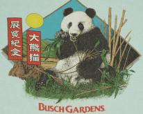  Giant Panda Busch Gardens Tampa Florida 