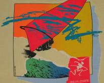  1980s Ocean Pacific OP Wind Surfing  1989