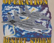  Operation Desert Storm US Air Force Jet 