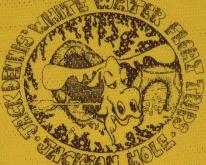  1980s Jackson Hole Wyoming Mesh 