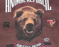  Grizzly Bear Glacier National Park  1990s