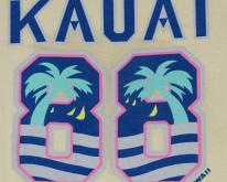 1980s 1988 Kauai Hawaii  Palm Trees Surfing