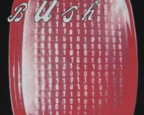  1990s BUSH SIXTEEN STONE Concert Tour 