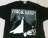 PROCOL HARUM SUMMER TOUR 93