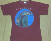 BLACKFOOT.strikes.1979