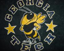  Georgia Tech  Yellow Jackets M