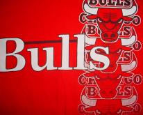  Chicago Bulls  The Game 1990s L/M