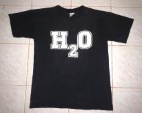  H20 