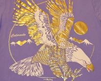  90s Colorado Gold Foil Eagle  - M
