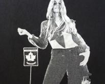  SONIC YOUTH HITCHIKER 