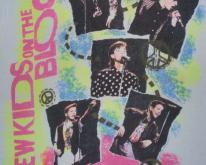  1989 NKOTB PROMO AUTOGRAPH 