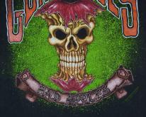  1992 GUNS N ROSES Bad Apple Australia Tour 