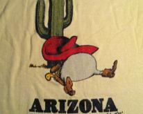  Cute 1980's Arizona siesta cactus 