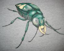  1980's big beetle , soft and thin, large