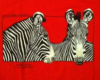  1980's zebras, MN Como zoo 