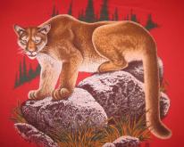  1980's mountain lion , soft and thin, medium