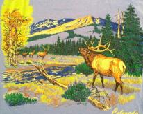  Beautiful 1980's Colorado elk 