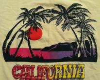  Cute 1980's California palm trees 