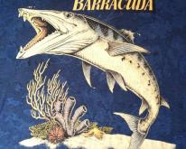  Ooooooooohhhh barracuda! 