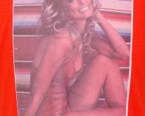  70's Farrah Fawcett iron on  L