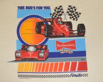  this BUD'S for you budweiser indy car racing 