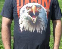  '86 Harley Davidson Eagle head Hammond, IN 