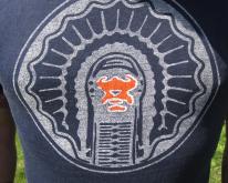  '80s University of Illinois Fighting Illini 