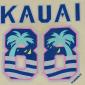  1980s 1988 Kauai Hawaii  Palm Trees Surfing