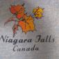 1970's-1980's Niagara Falls ladies ringer , medium