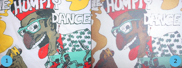 humpty dance close up