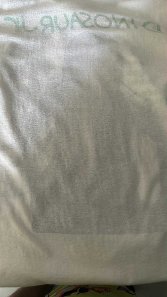 Dinosaur jr Legit Check