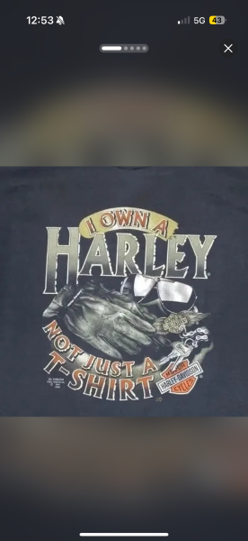 1991 I own a Harley 3d emblem xl