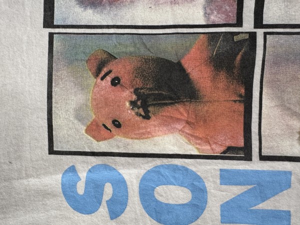 sonic youth 1993 rim tour europe