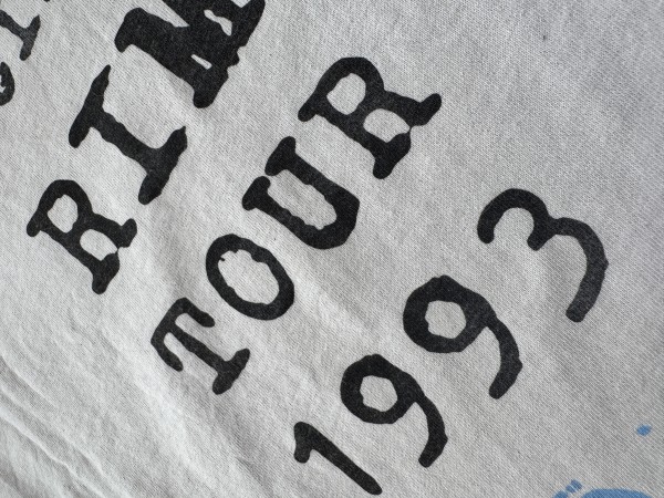 sonic youth 1993 rim tour europe