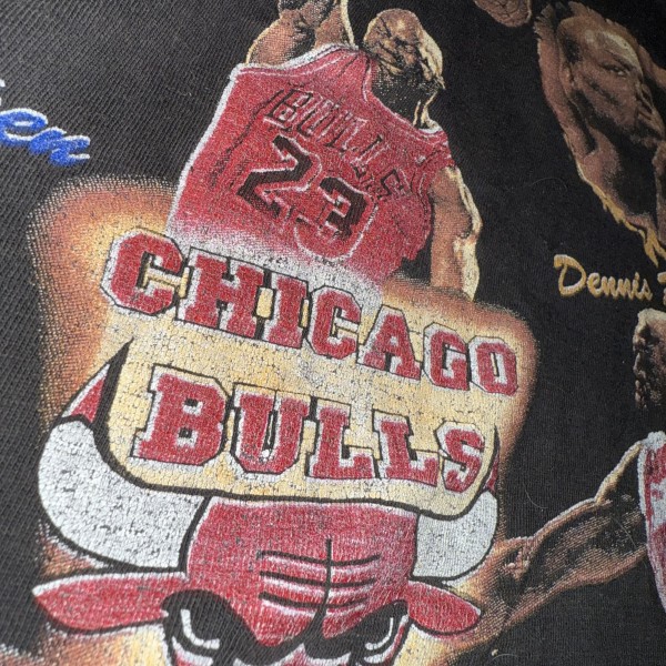 Bulls vintage Jordan Pippen Rodman