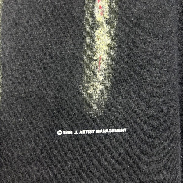 NIN Downward Spiral Legit Check