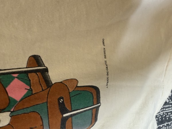 1995 Alpha Kappa Alpha Classroom T-shirt