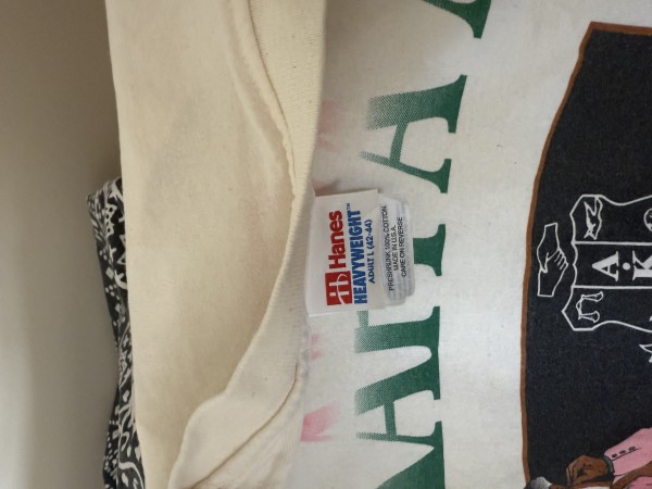 1995 Alpha Kappa Alpha Classroom T-shirt